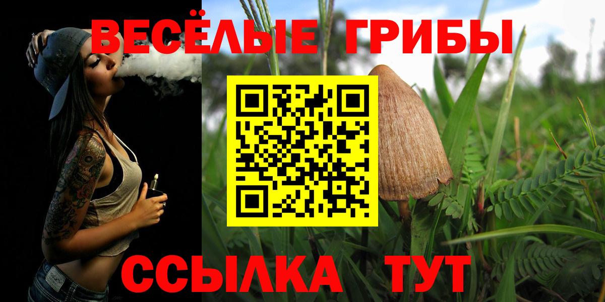 Псилоцибиновые грибы прущие грибы  Вход с VPN  цены наркотик  Энгельс 